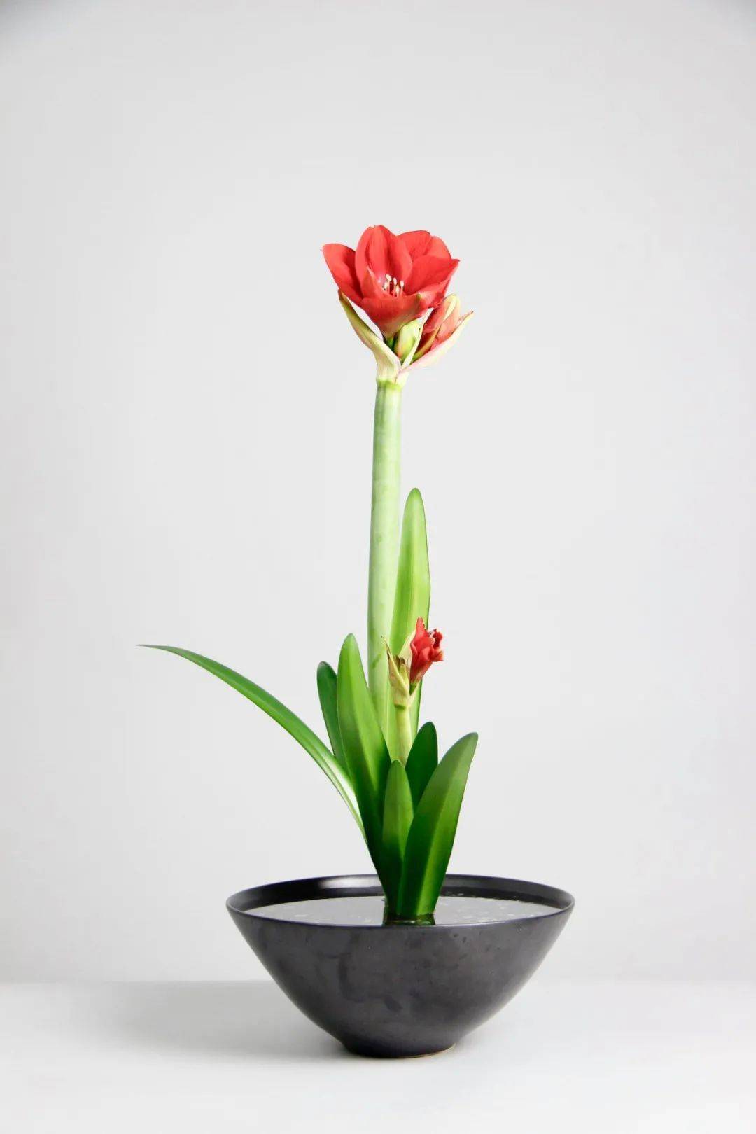 日式插花技法,日式插花的特色及技巧