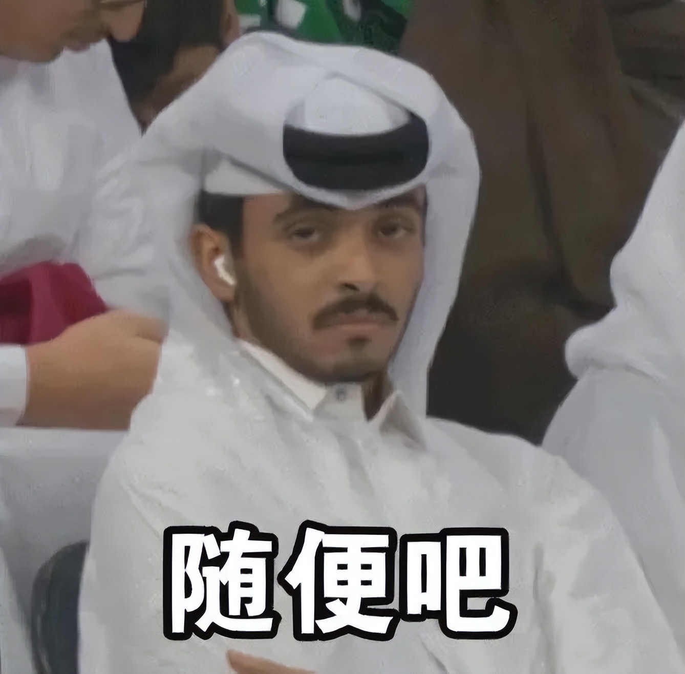 卡塔尔15岁小王子表情包,卡塔尔小王子气出表情包原视频