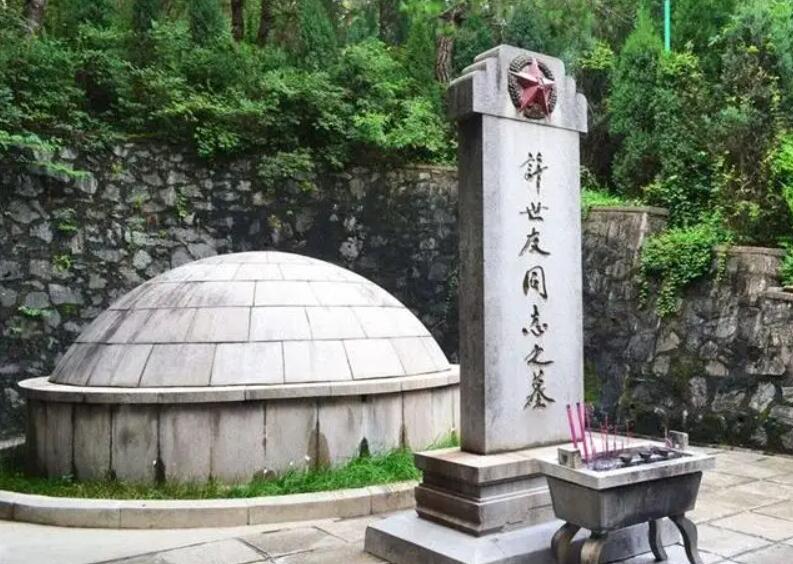 *世友许**病逝前，向中央提出一个特殊要求，*小平邓**：批准，下不为例