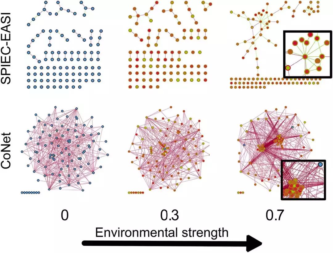 FEMS综述：如何从微生物网络中的“毛线球”理出头绪