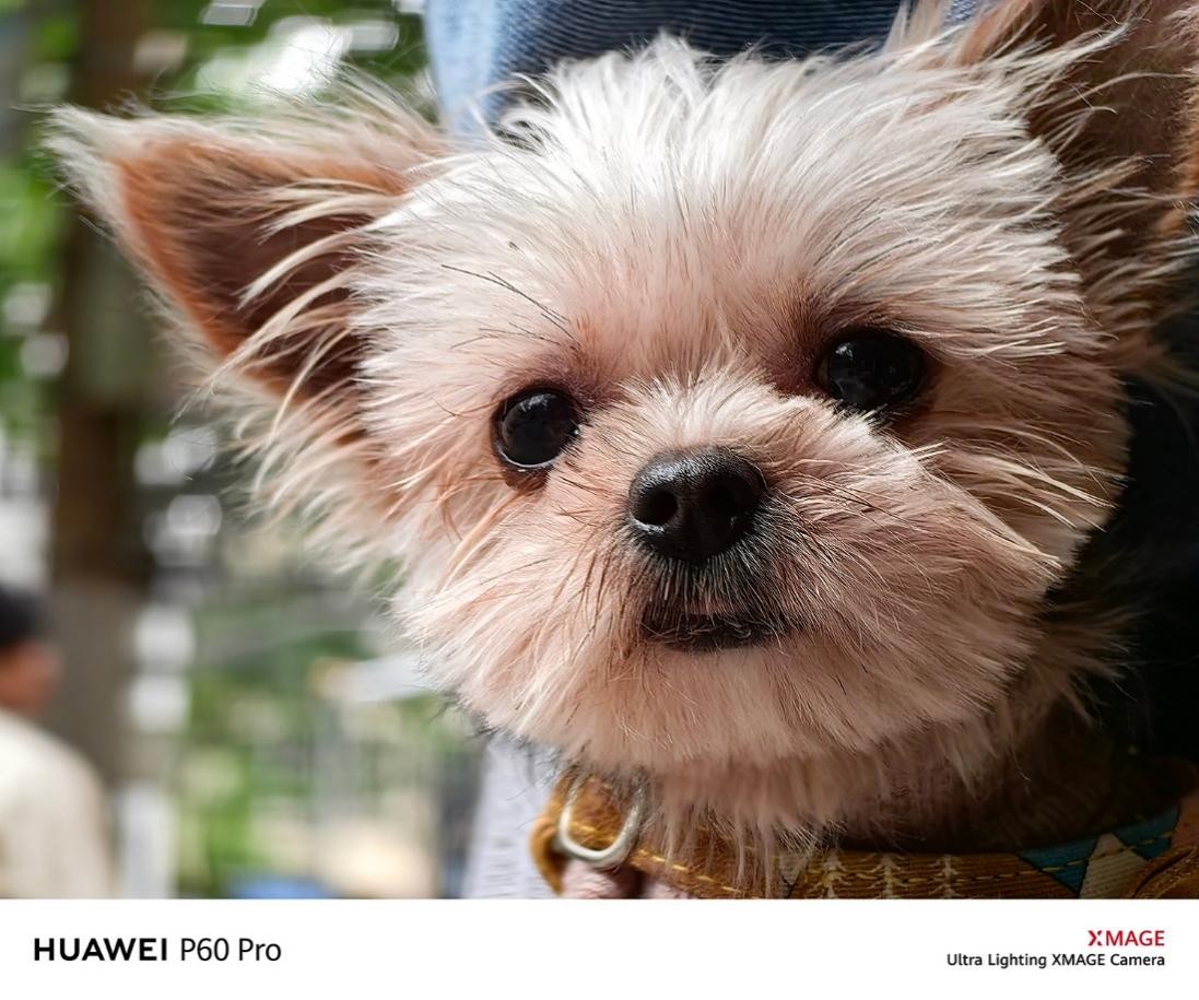 华为手机p60pro发布会,华为p60pro塑造年度摄影旗舰