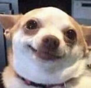 给脑壳钻孔、用吸血虫治病，这些古代治疗手段吓到我了