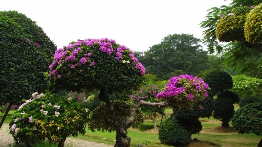 云南西双版纳旅游攻略app,云南西双版纳旅游攻略自由行12月