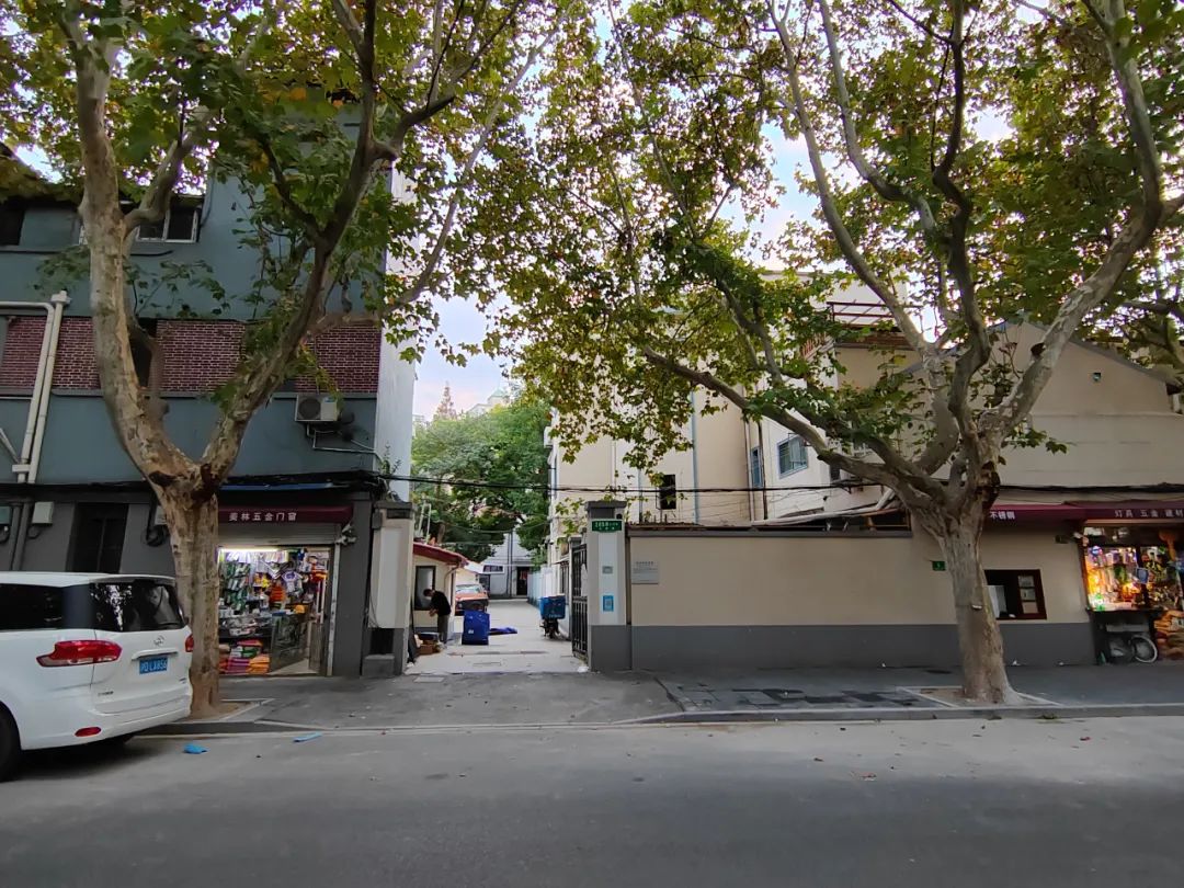 梧桐区的五金店,都是长久又顽强的存在