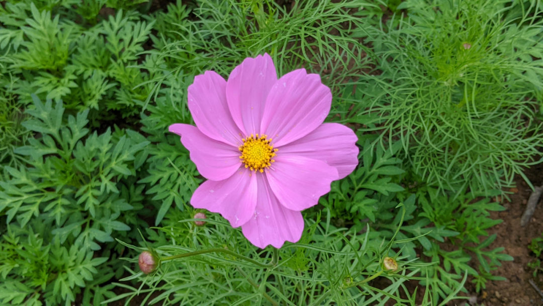 人喜欢独处的真实原因,为什么越来越厉害的人越喜欢独处