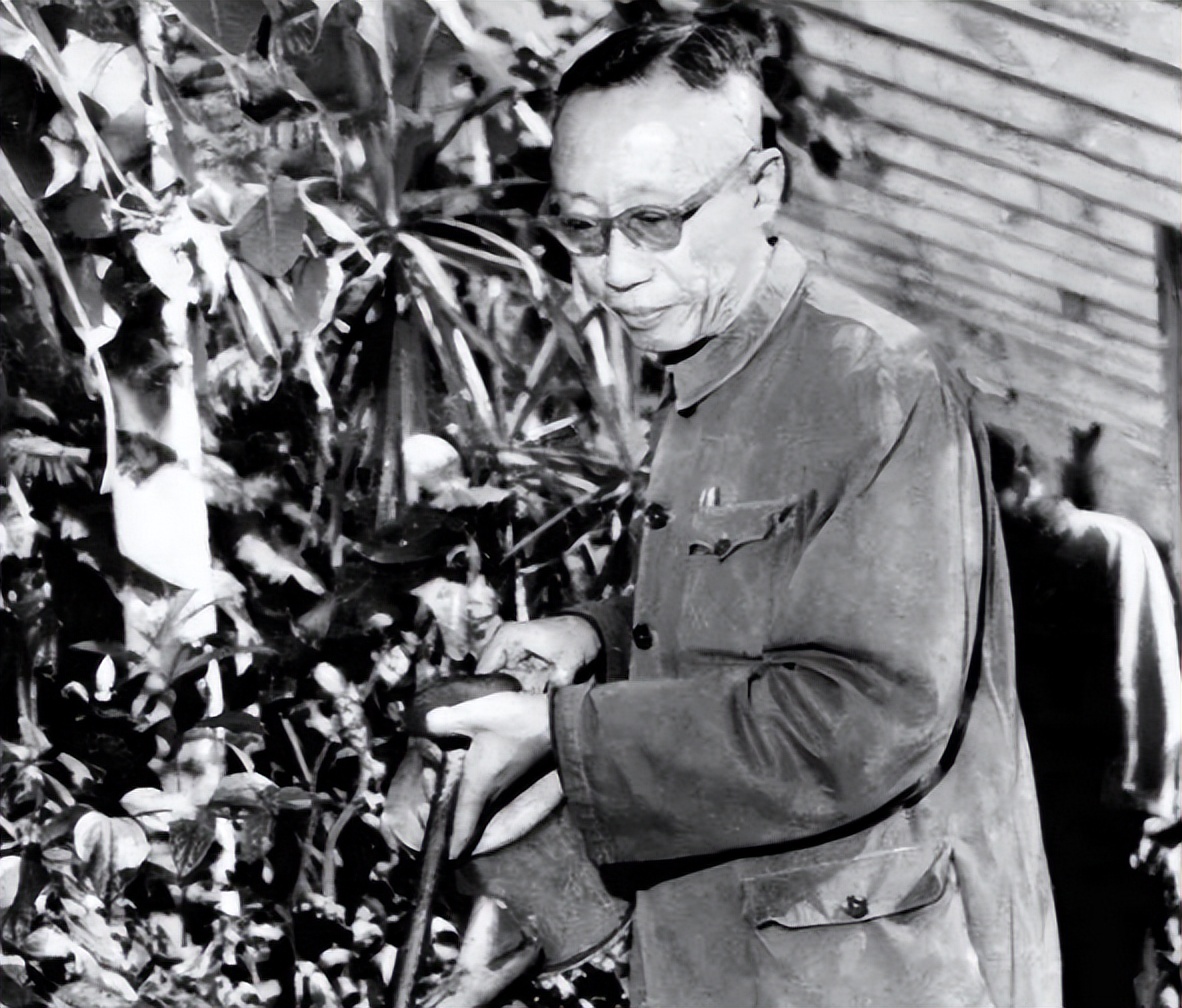 1962年，毛主席问溥仪：传国玉玺去哪了？溥仪回答后不禁黯然神伤