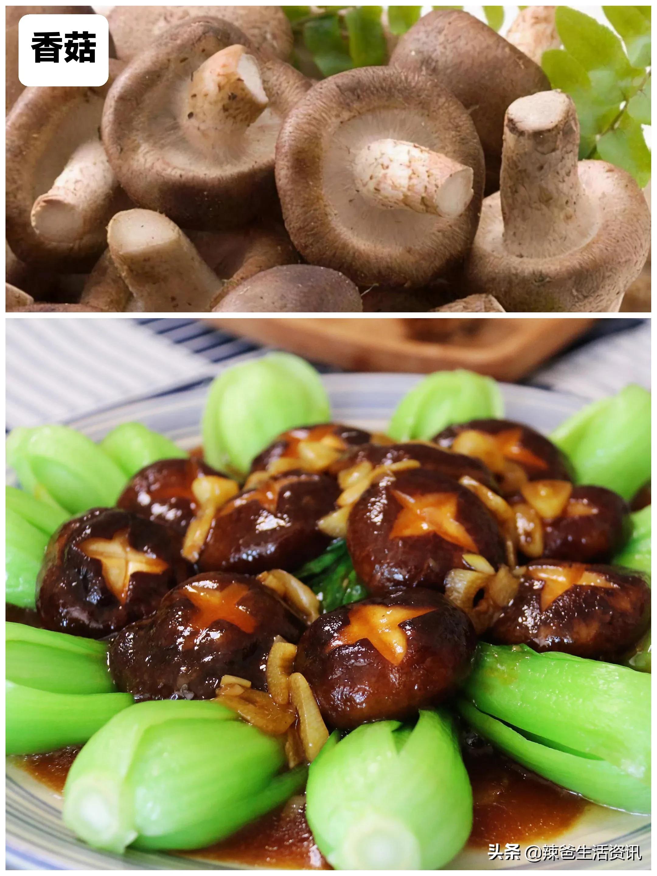 100种食用蘑菇大全,蘑菇的12种最佳吃法