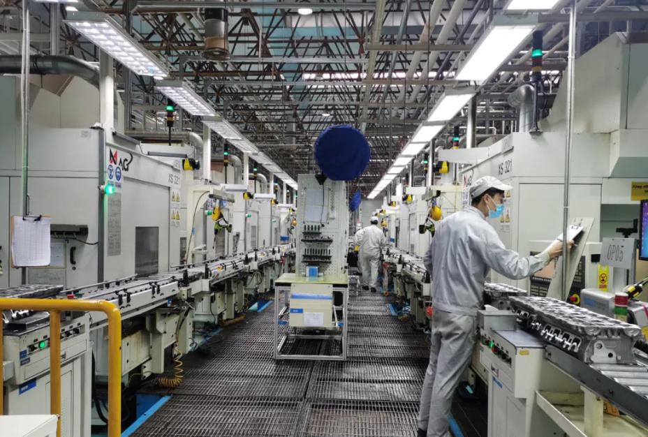 广东老板出资2万种植年入50万,广东老板白手起家全靠自己挣钱