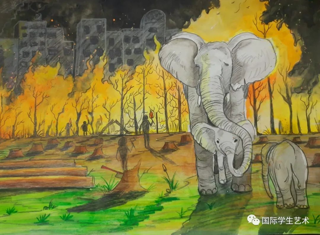 1月24日截止丨EarthX-美国2023年国际生态艺术大赛