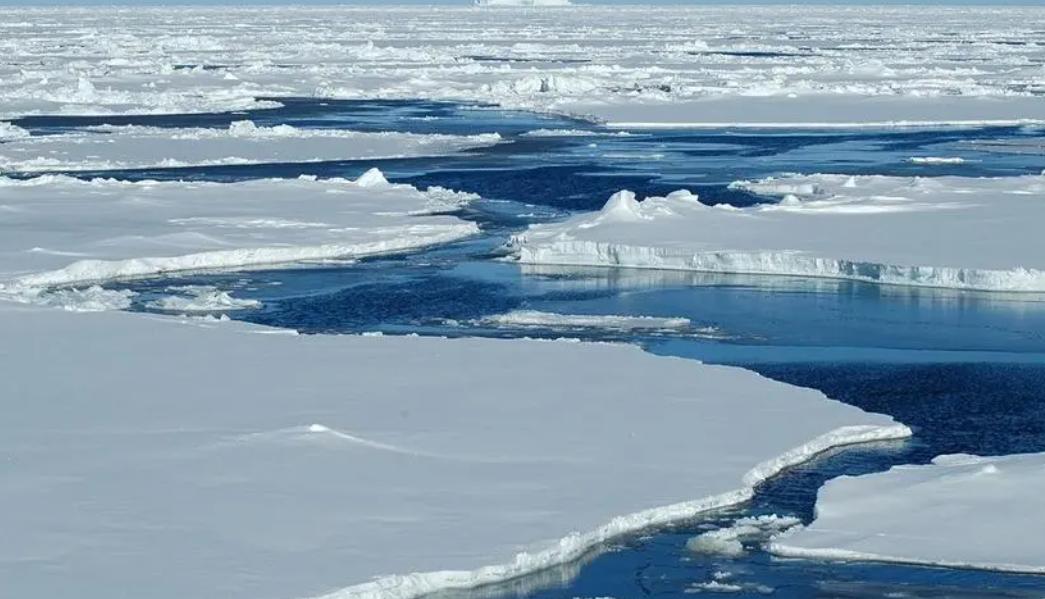 人类为什么要发明纸币,人类为什么发明货币