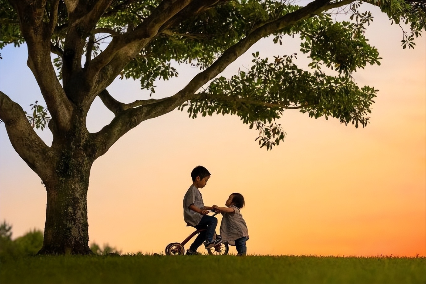 别再被别人误导了,别再被误导了