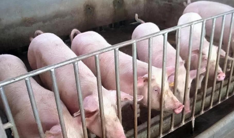 一年营收超过5000亿的公司,一年赚500亿的中国企业