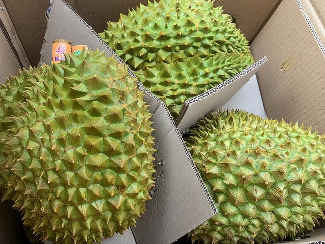 越南领导人访印度,越南政府官员访问中国