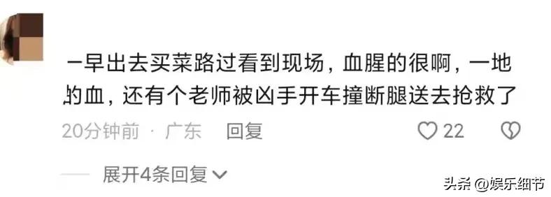 幼儿园歹徒行凶真实事件,持刀砍杀幼儿园案件