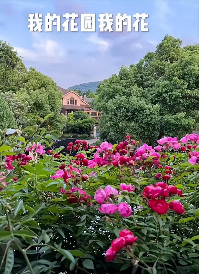 范明在一档节目中暴露自家豪宅,范明演富豪找女儿