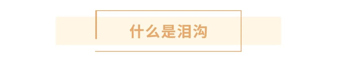 上海九院做泪沟眼袋哪个医生最好,上海九院隆鼻韦敏多少岁了