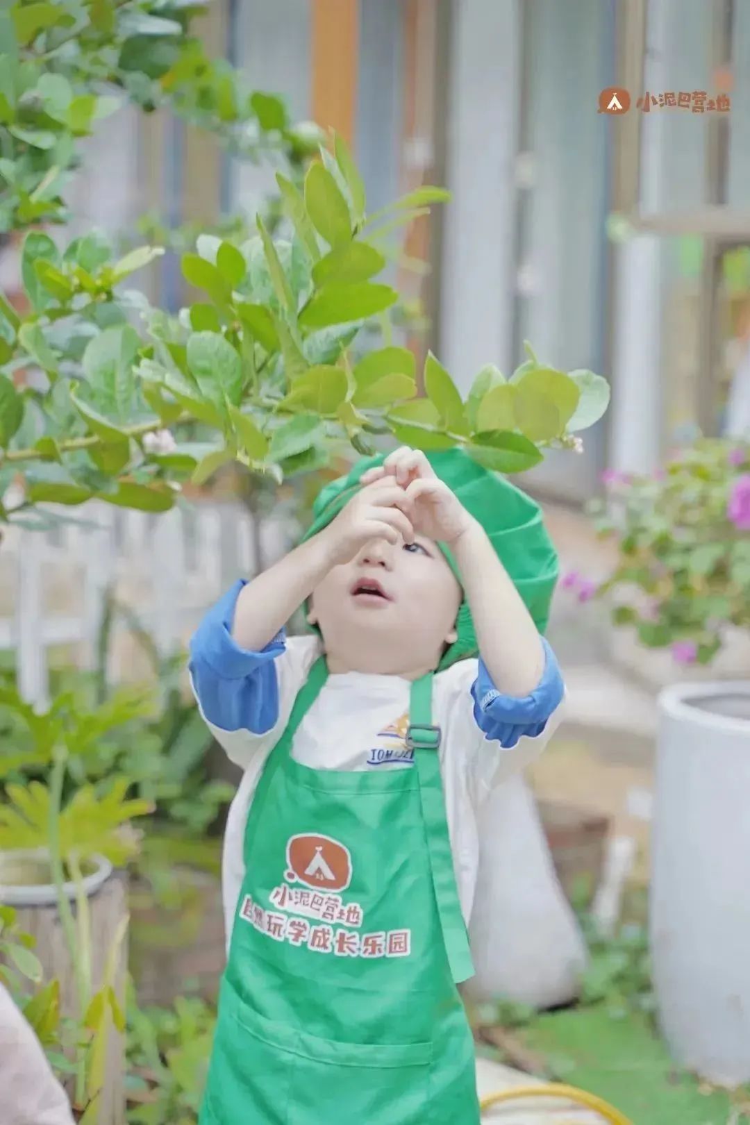 孩子上全托班的最佳年龄,幼儿刚上托班适合上什么课程