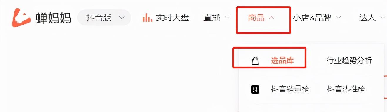 开网店需要准备什么设备,开拼多多网店需要准备什么东西