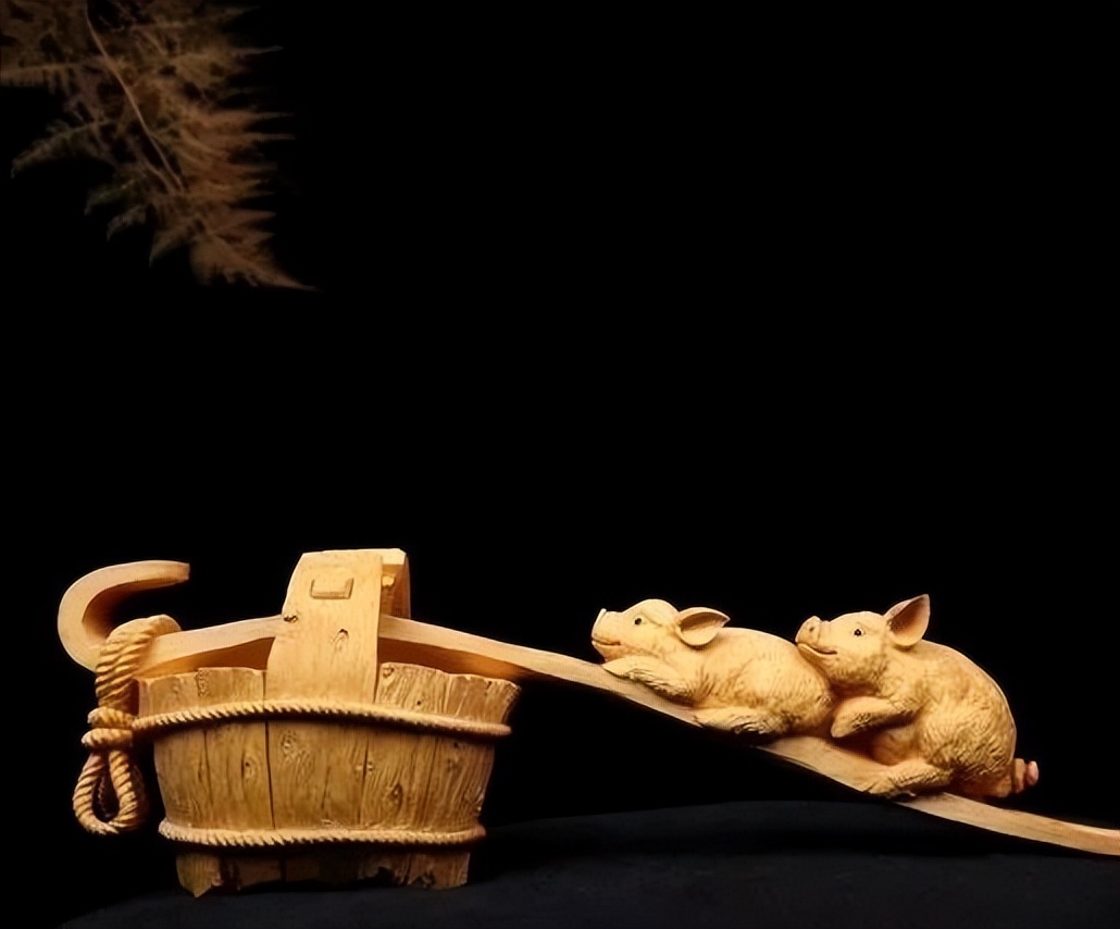 最好看的黄杨木,十种最好看的黄杨木