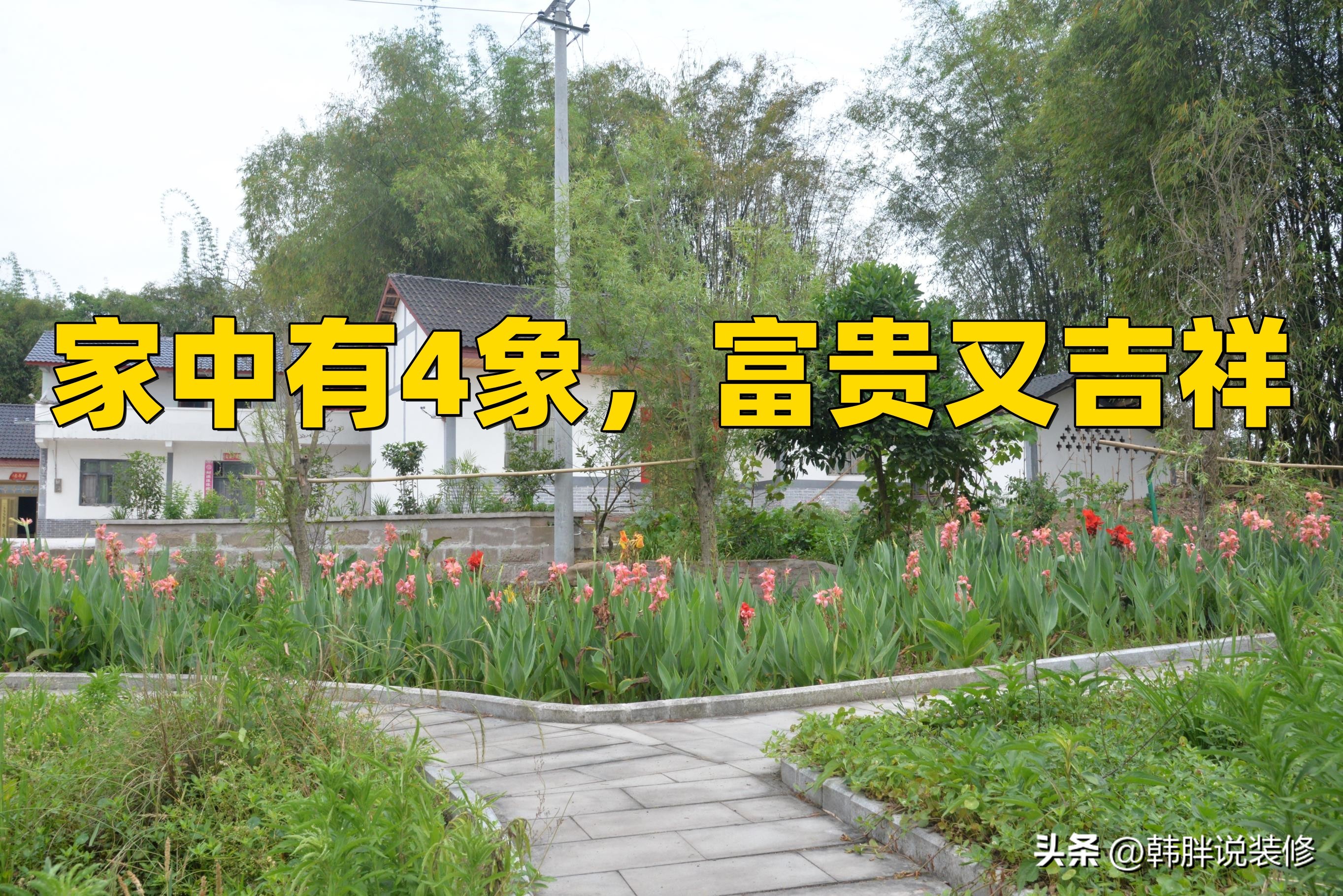 家中有哪三象子孙有福了,家中出三象家中出贵人