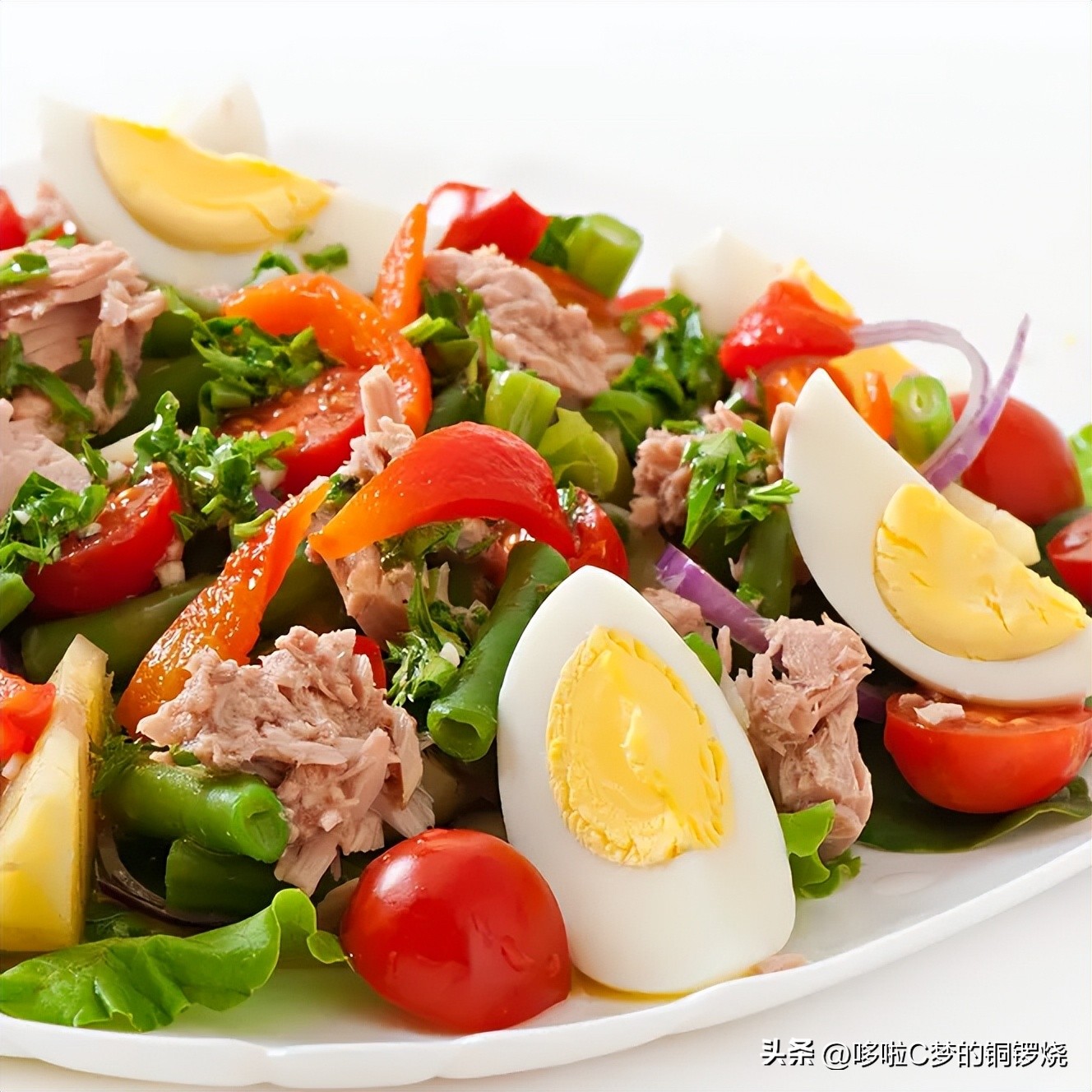 瑞士南法蔚蓝海岸旅游攻略,海岸线的蓝色旅游攻略