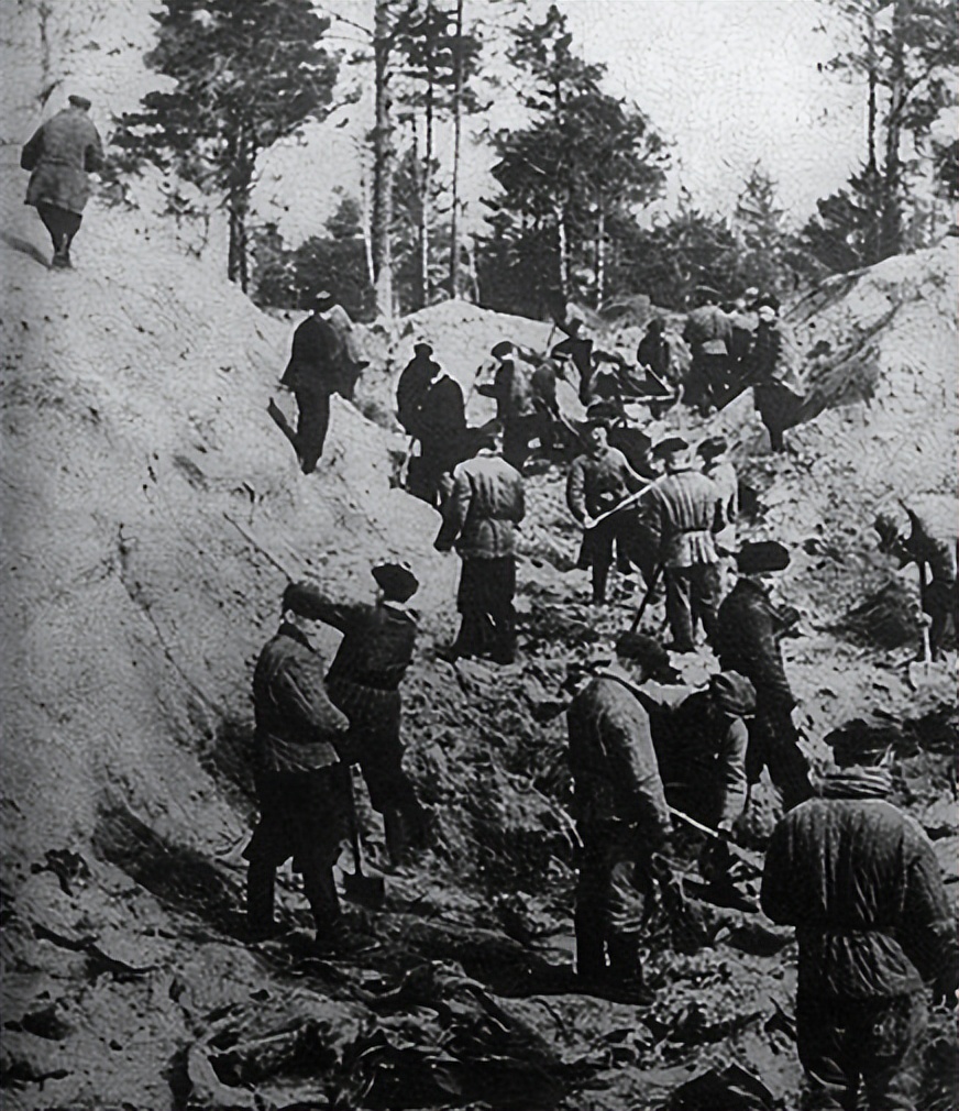 纳粹时期希特勒残害的对象都有谁？大*杀屠**的受害者只有犹太人吗？