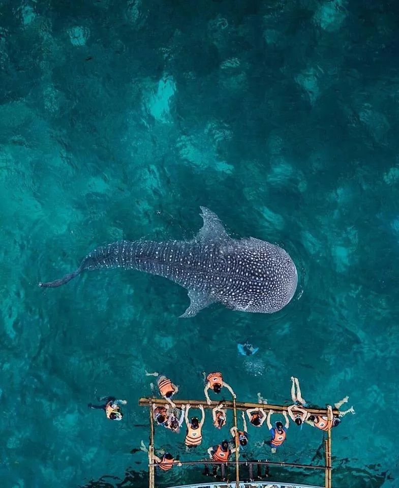 我的六日游——“浪漫之地”杜马盖地