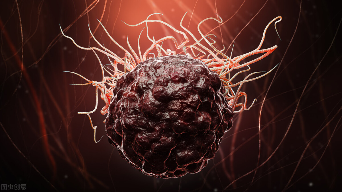 动物得癌症会传染给人吗,吃了患癌症患者的食物会感染吗