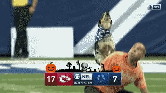 穿得少就是“飞盘媛”?北京上海人好冤