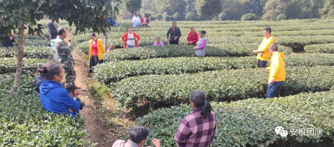 如何引导农民合作社发展,我国农民合作社发展的政策机遇