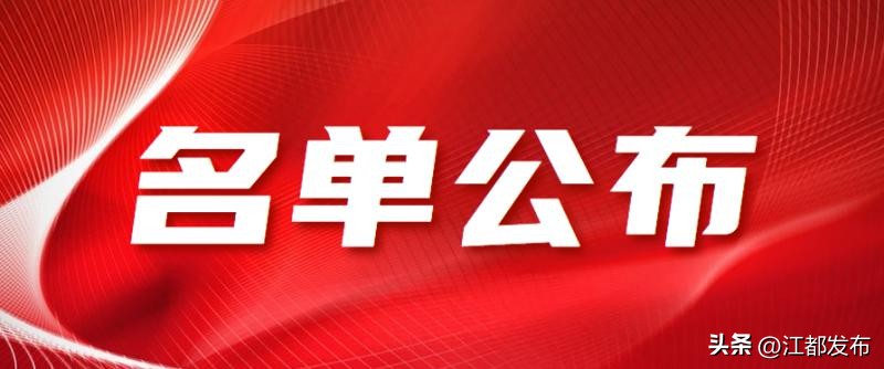 江都旅游项目,江都2019年的418重点招商项目
