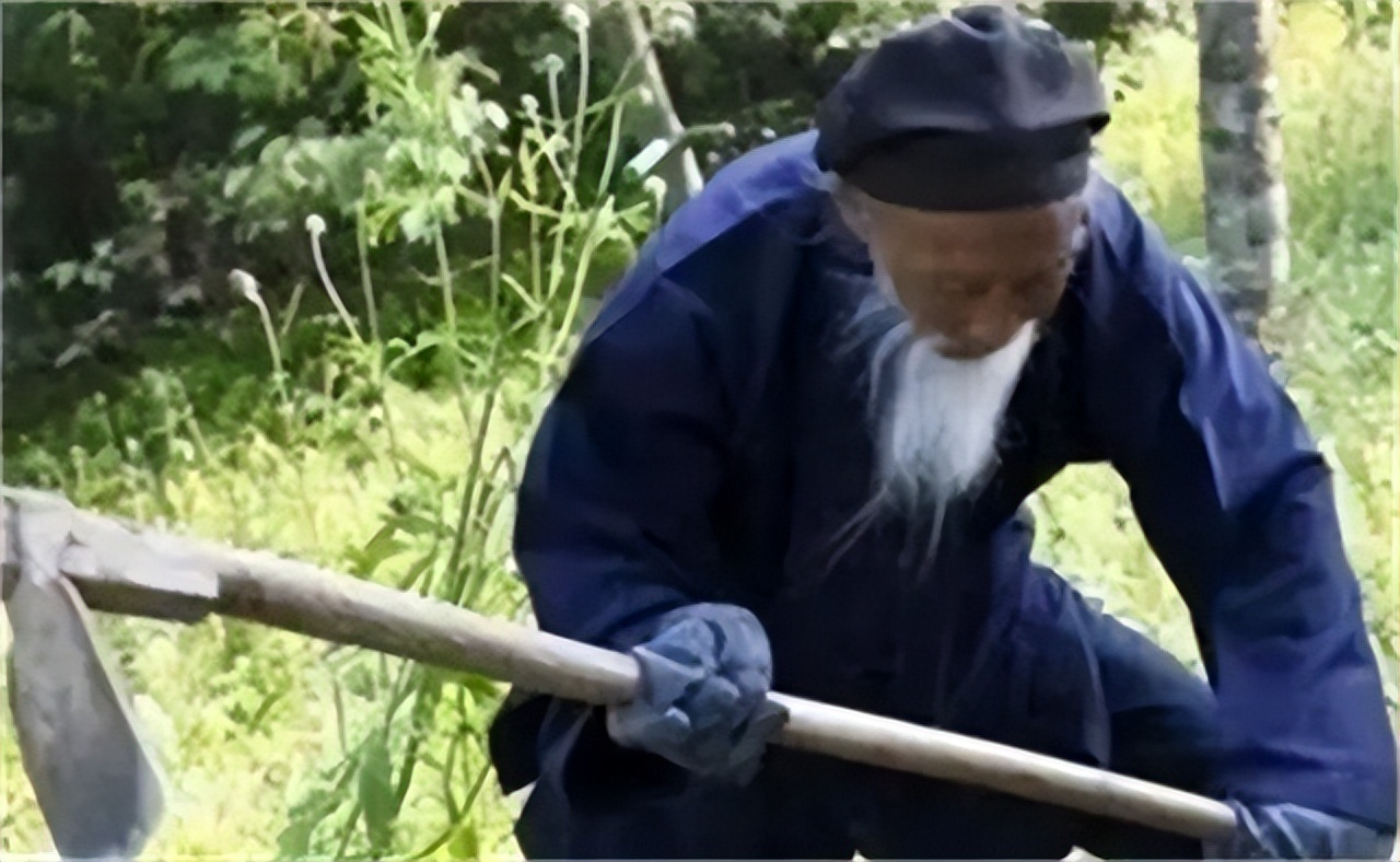 陆地活神仙张至顺,张至顺为什么被封为陆地神仙