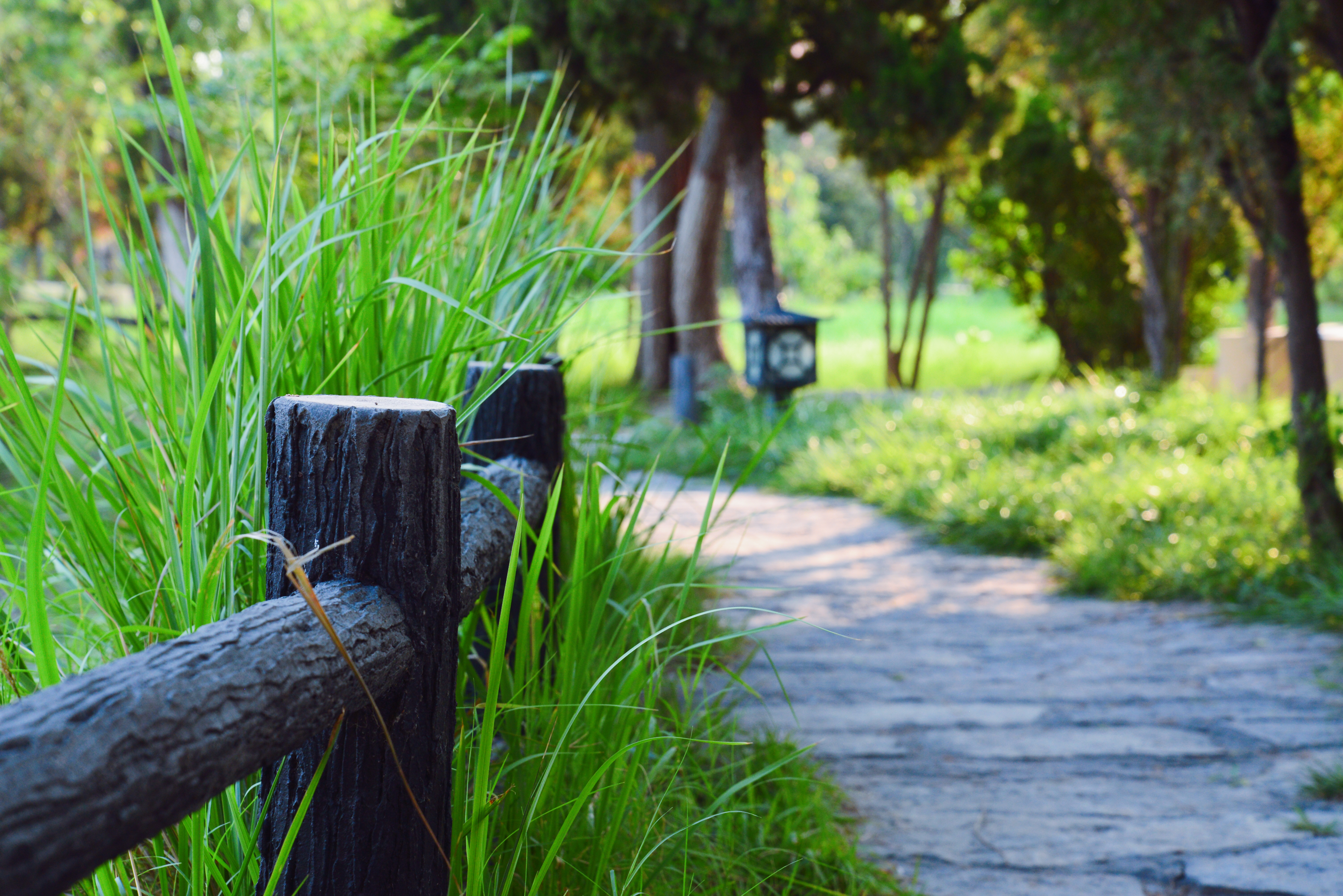 尼康d750和尼康d810和尼康d610,尼康d610缺点在哪里