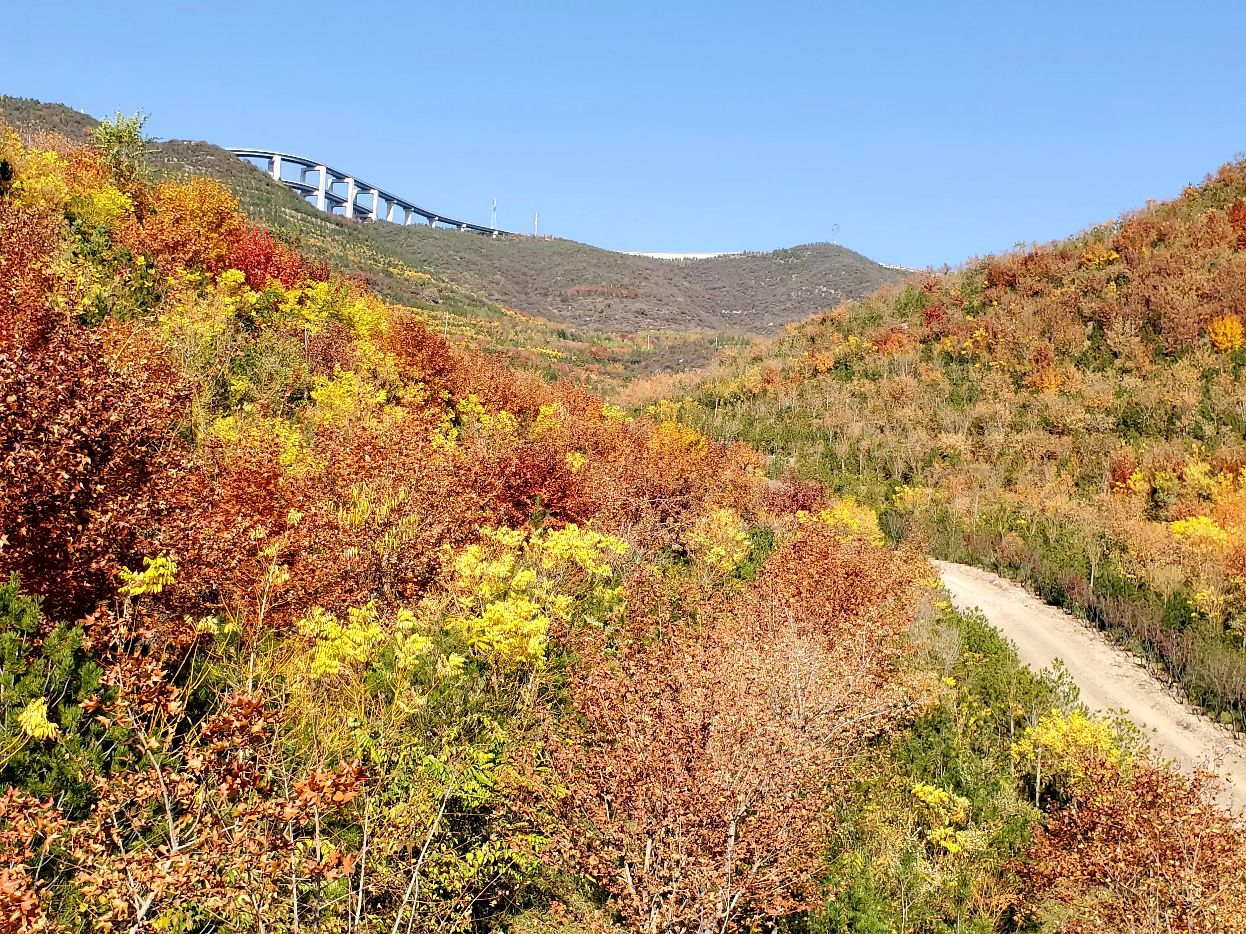 太原市天龙山网红桥,天龙山网红桥免费不
