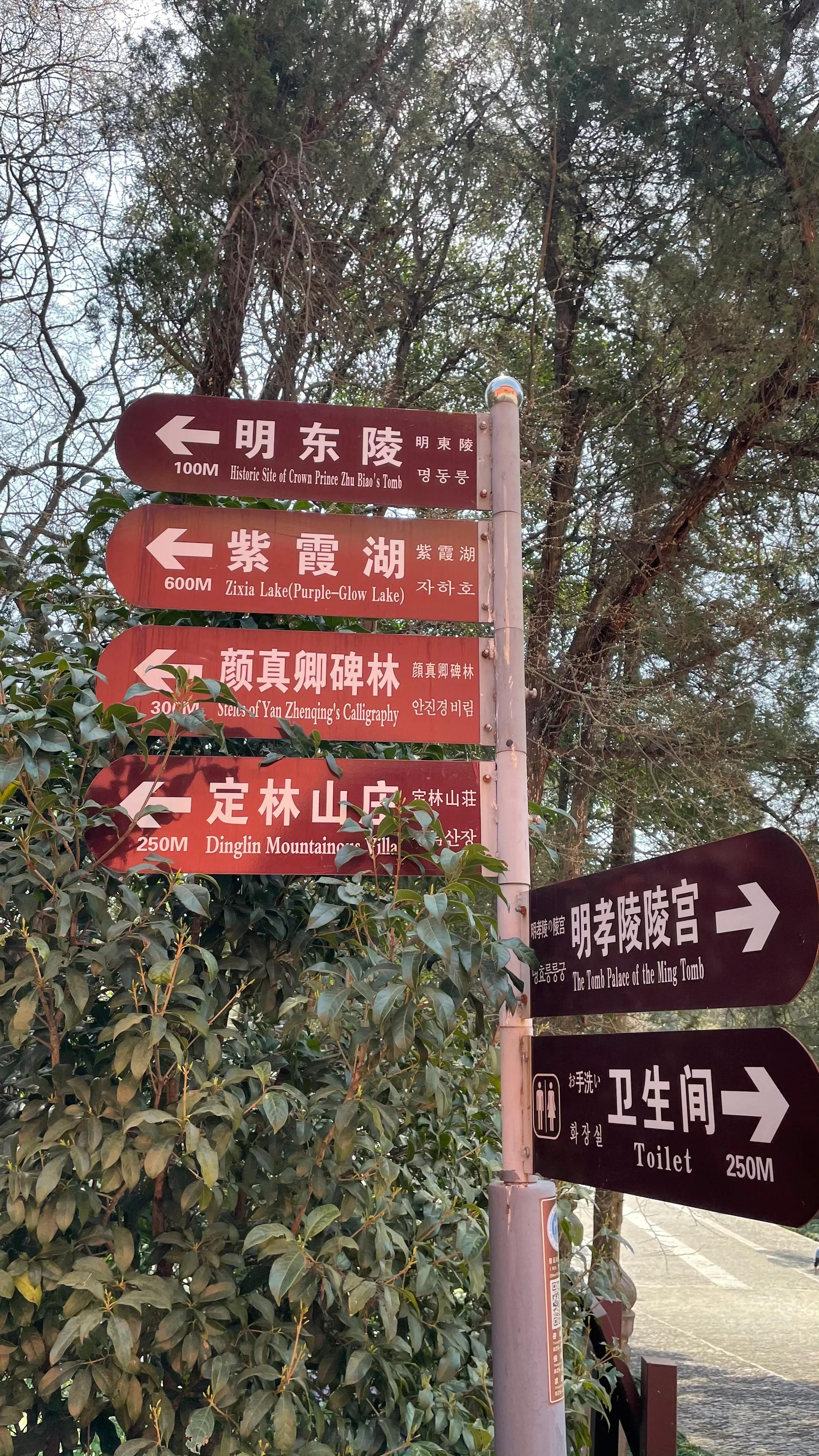 开着沪牌回老家怎么样,开着大巴玩转江浙沪