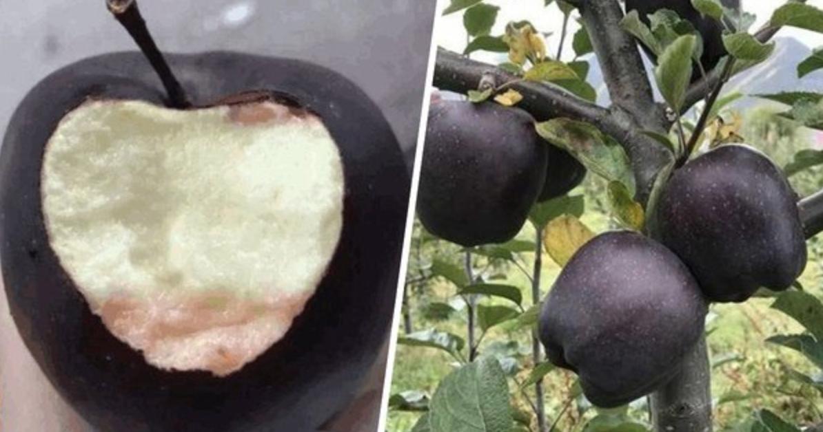 世界上有超自然生物吗,世界上真的有超自然的存在吗