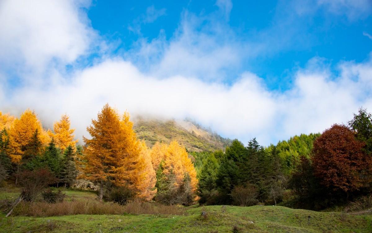 夹金山雪山现在还有积雪吗,中国红军翻越的第一座雪山