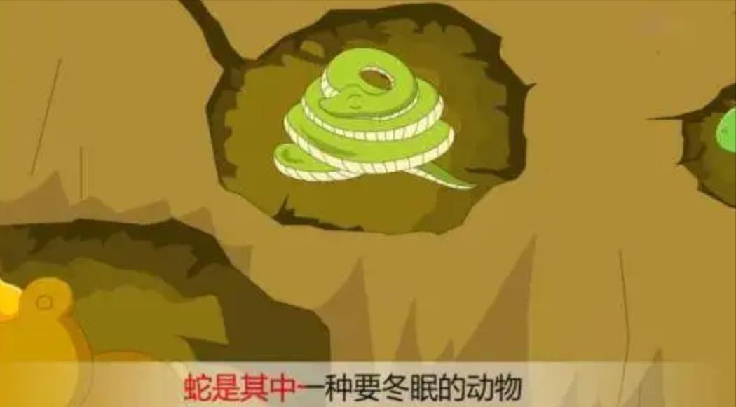 蛇泡酒一年后咬死人什么原理,蛇泡酒10年后咬死人是真的吗