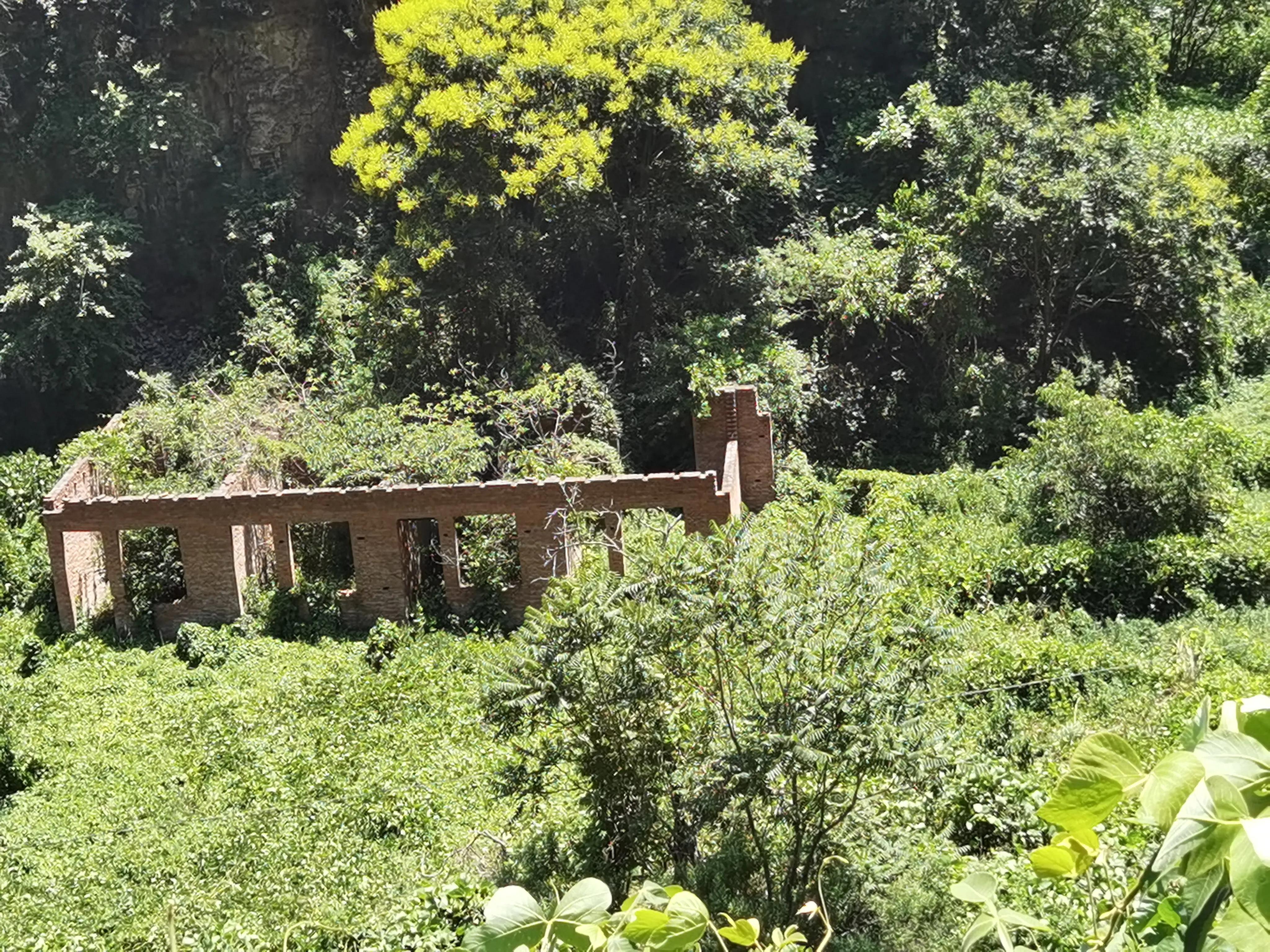山西陵川休闲避暑胜地,清凉陵川最新视频