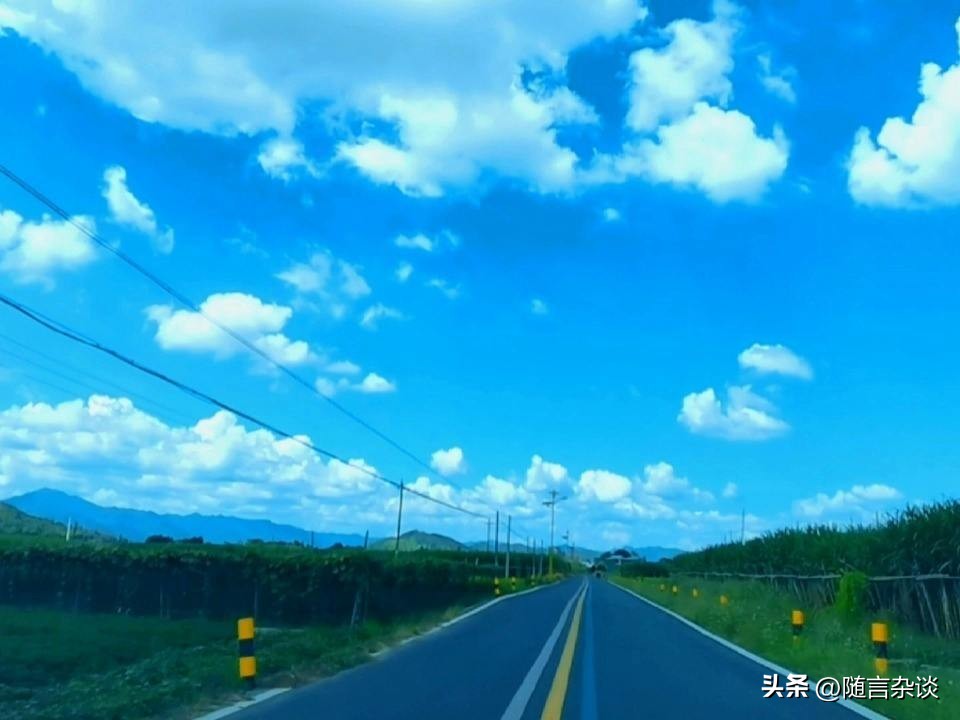 请饶了淄博大爷吧！人家真不缺钱啊！