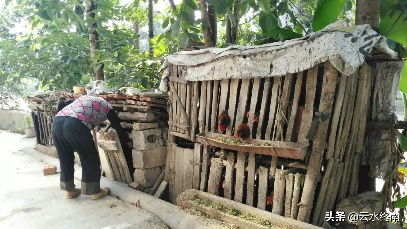 金牛县和五丁关到底是什么样子？用我骑行一天的经历来看看