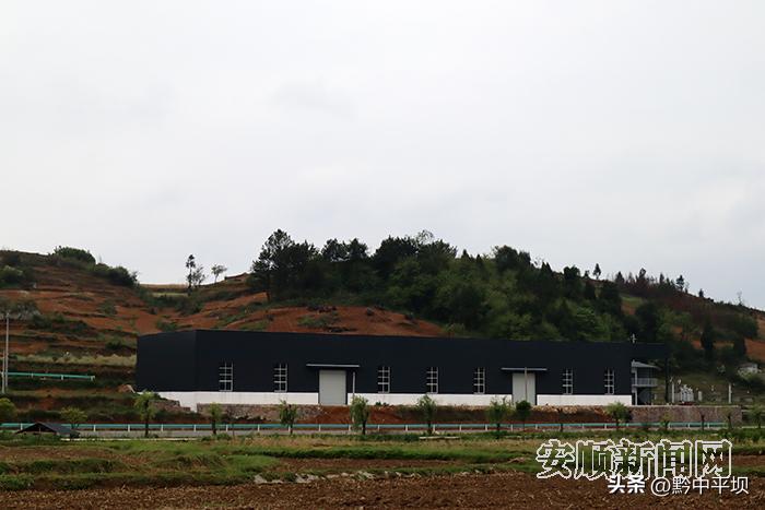 种养结合型的生态农业循环模式,贵州省安顺市平坝县乐平镇大屯村