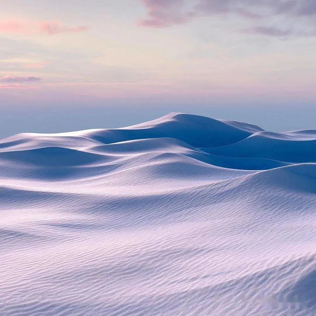 薰衣草，永不褪色的真爱，永不落幕的浪漫｜No.00162