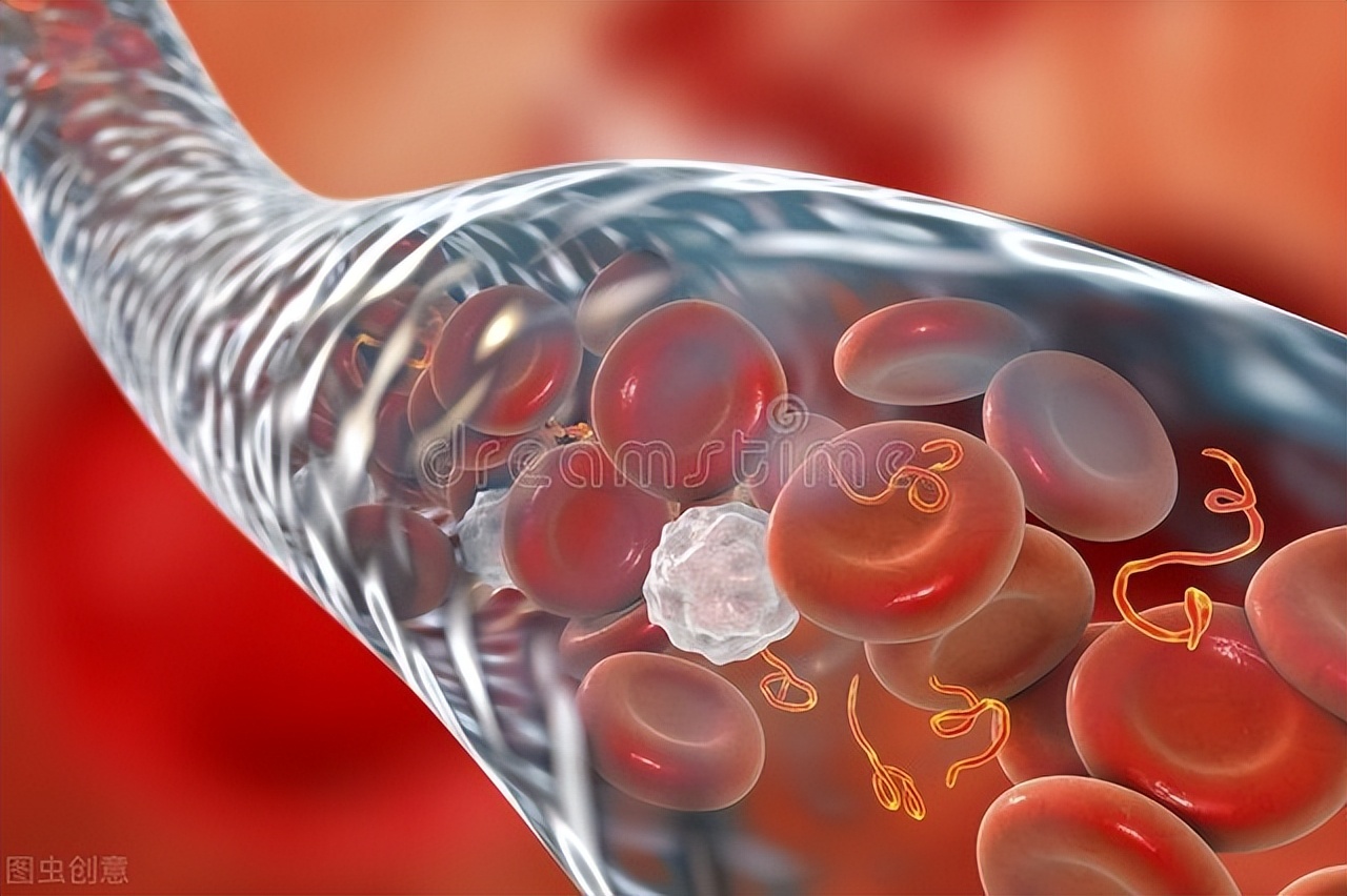 菠菜补铁补气血,菠菜补铁通便