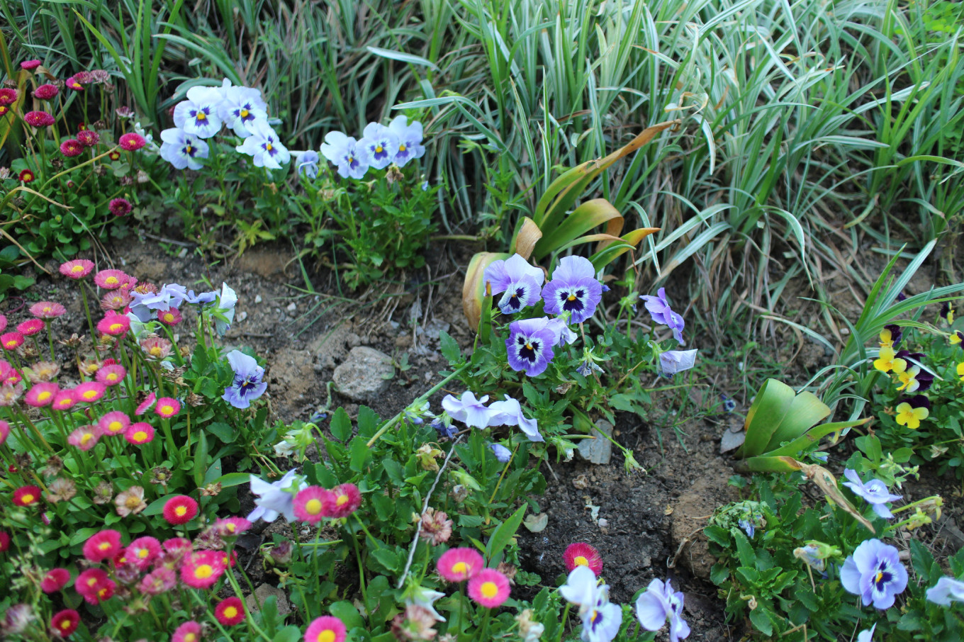 南京烧香的地方,南京烧香拜佛