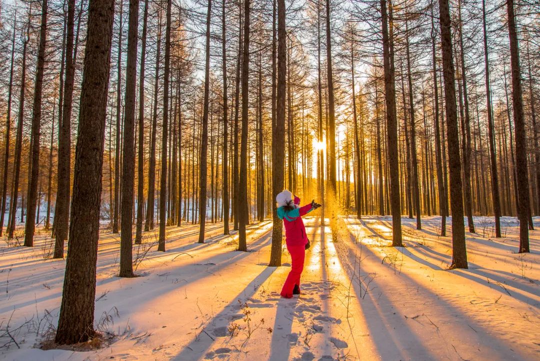 还剩10天!如何安全有仪式感地迎接元旦?这14条周边短线值得一去