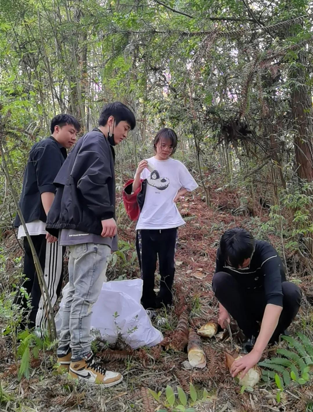 来一场春日之约,梵净山之旅