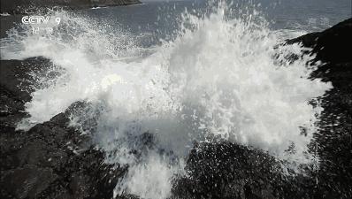 东海最后一处冷门小县城，藏了个海上仙子国，一口小海鲜封神