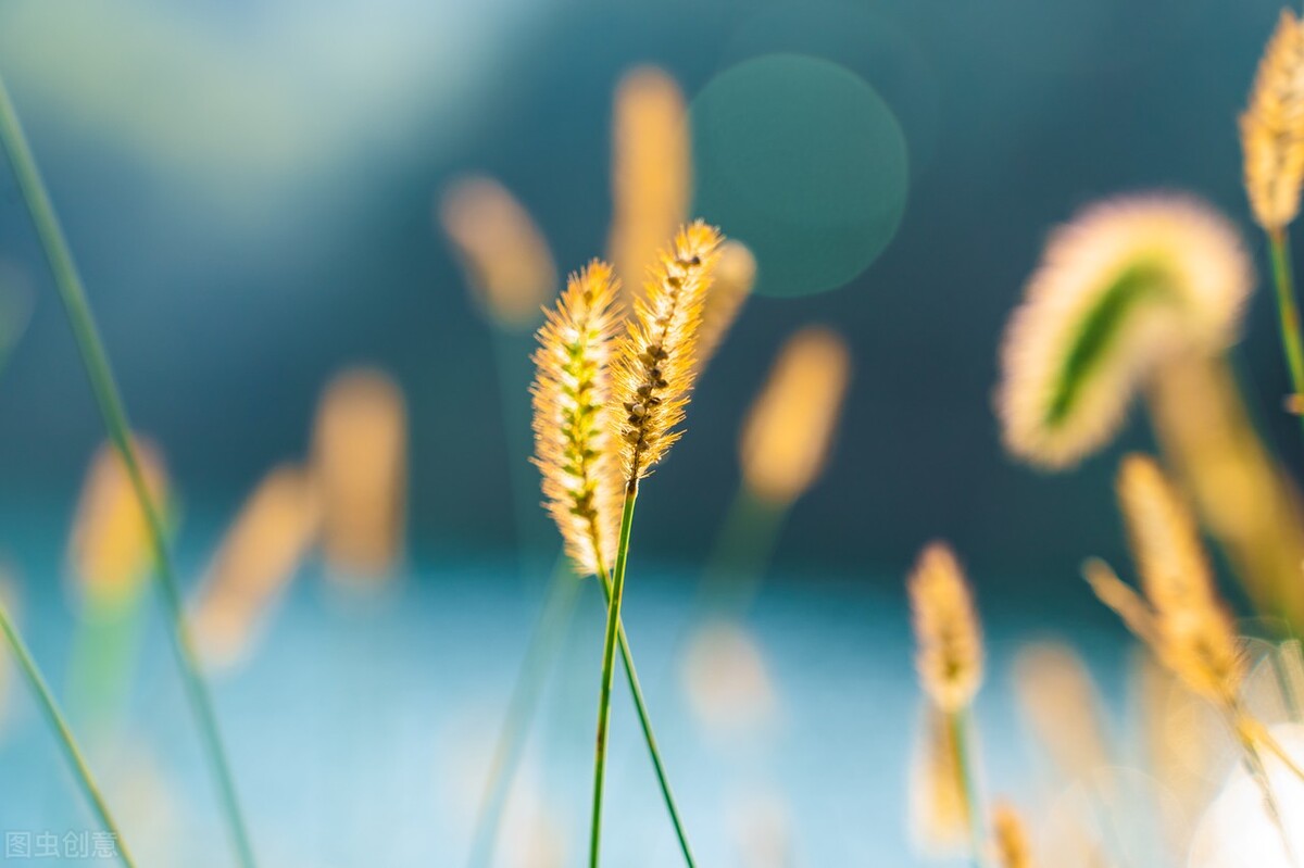 余生以适合自己的方式好好活下去,余生很贵选择自己舒服的方式生活
