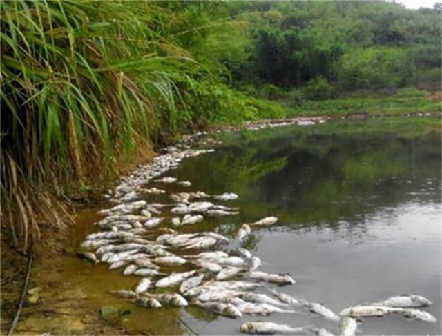 1995年，广州农妇疯狂投毒致18人中毒，都是迷信惹的祸